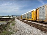 TTGX 971503